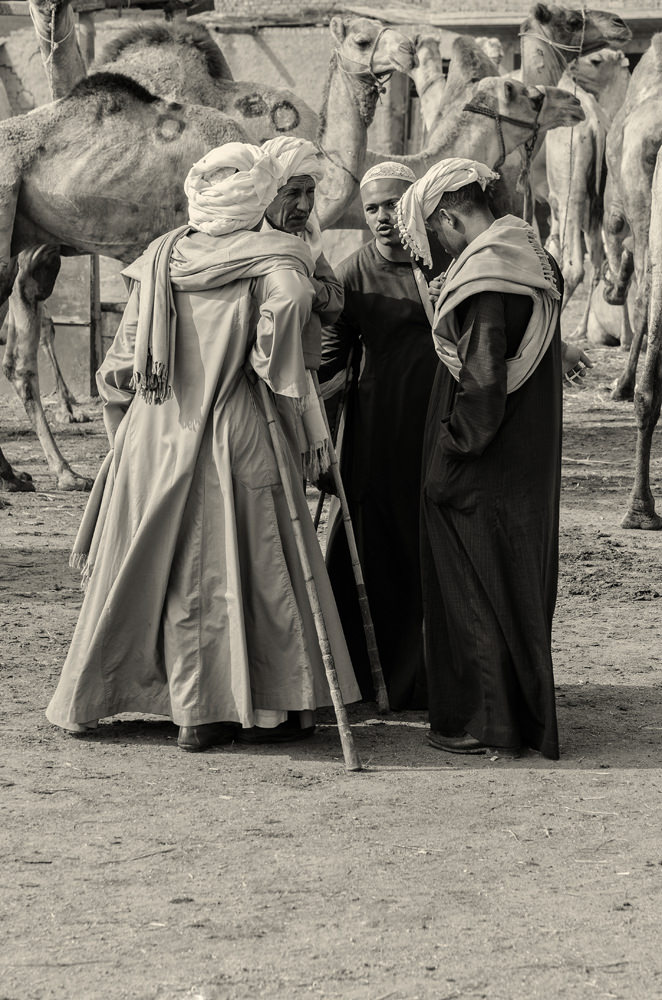 Travel — Egypt — frame 17