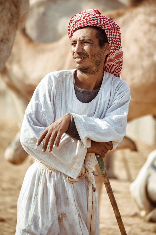 Travel — Egypt — frame 18