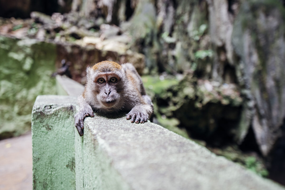 Travel — Malaysia — frame 25