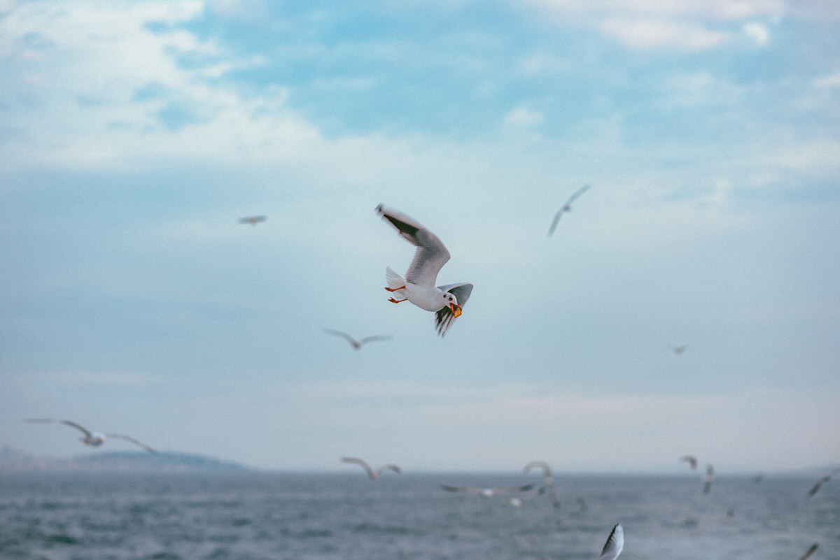 Travel — Türkiye — frame 17